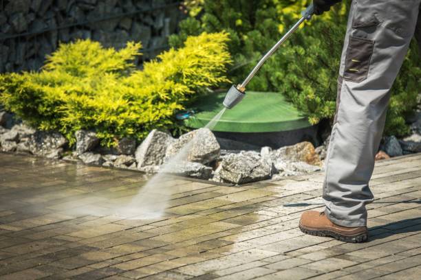 Best Gutter Cleaning  in Lake Wynonah, PA